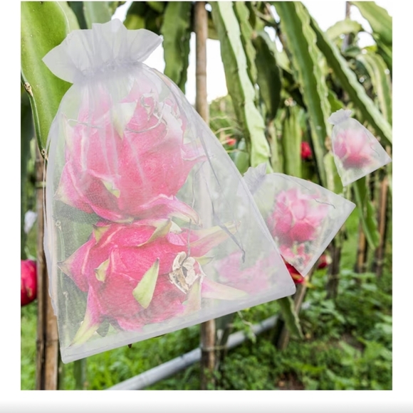 Reusable Mesh Fruit Protection‎ Bags 50 PCS 6x10 Inch - Picture 6 of 9
